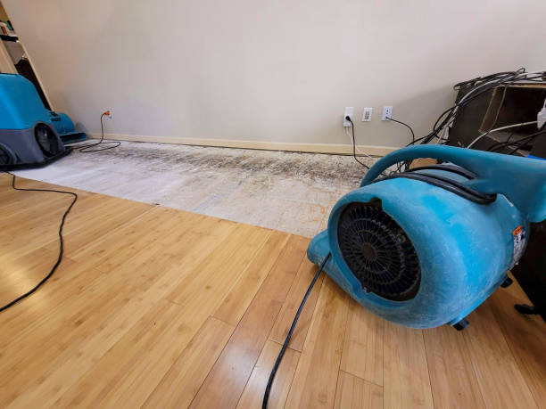 Professional Basement Flood Cleanup technician working in Kendalia, TX
